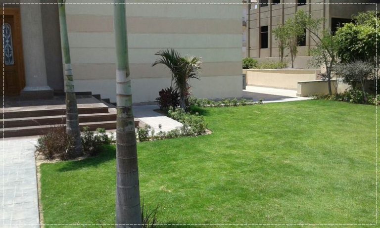 تنسيق حدائق في ام القيوين