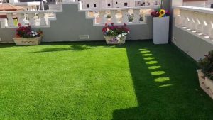 تصميم وتنفيذ حدائق عجمان