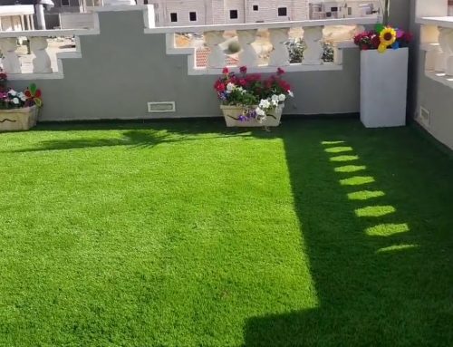 تنسيق الحدائق المنزليه الفجيرة |0509648200|ارخص الاسعار