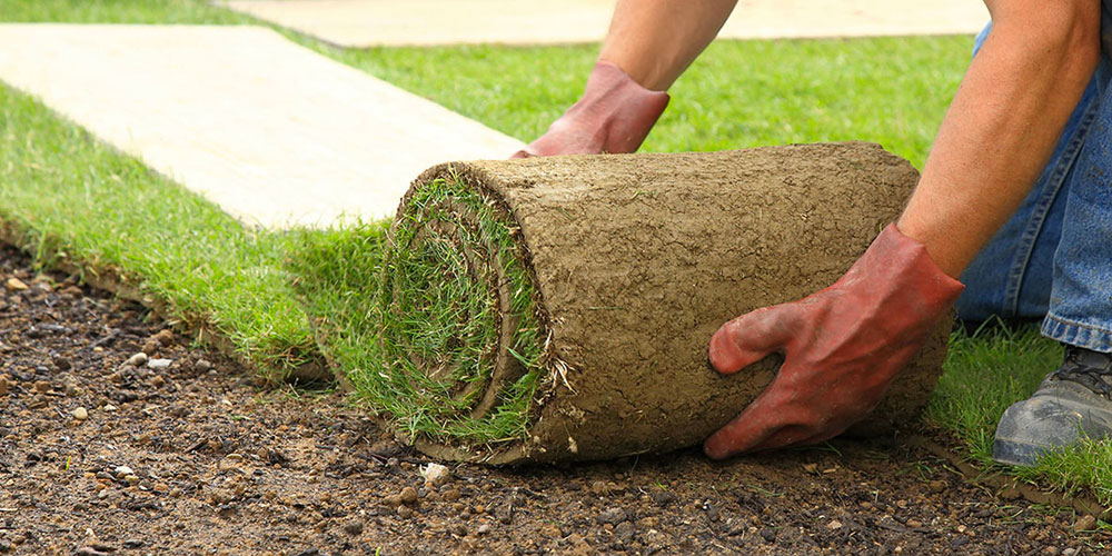 تركيب عشب صناعي ابوظبي