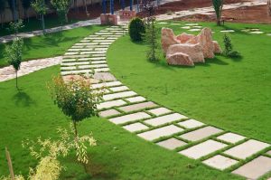 تصميم وتنفيذ حدائق الفجيرة