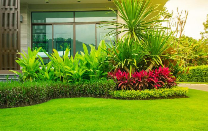 انشاء وصيانة الحدائق في الشارقة