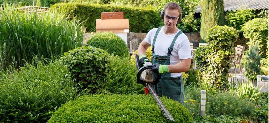 تنسيق حدائق ابوظبي