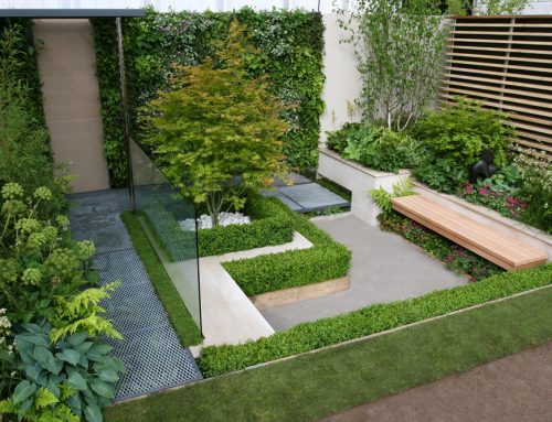 تنسيق الحدائق المنزلية عجمان |0507687896|تنسيق حدائق
