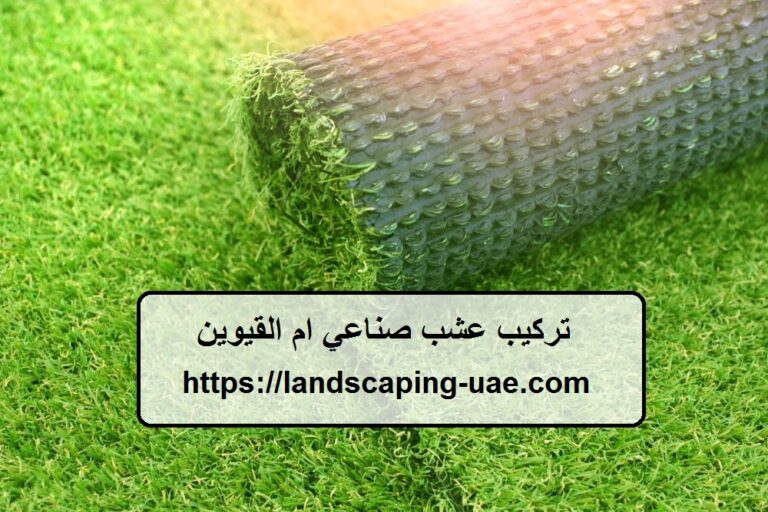 تركيب عشب صناعي ام القيوين