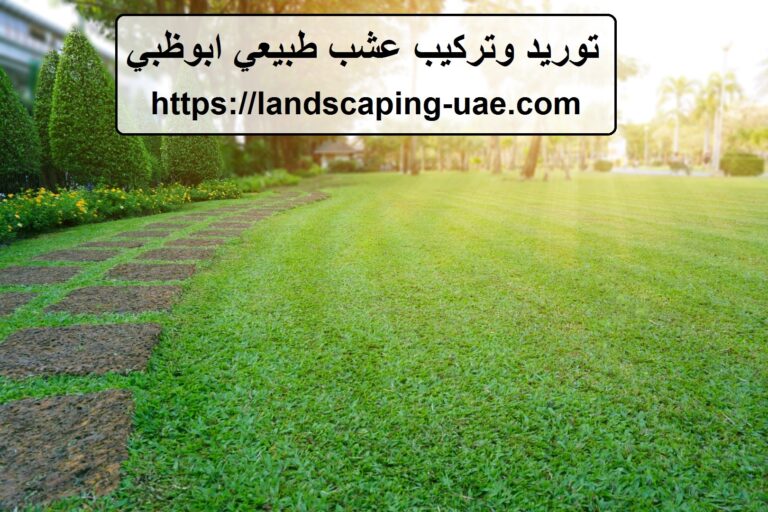 توريد وتركيب عشب طبيعي ابوظبي