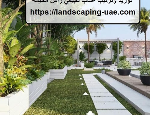 توريد وتركيب عشب طبيعي راس الخيمة |0509648200|متميزون