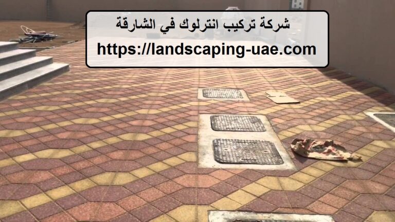 شركة تركيب انترلوك في الشارقة