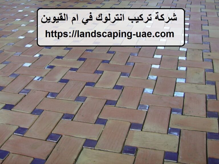 شركة تركيب انترلوك في ام القيوين