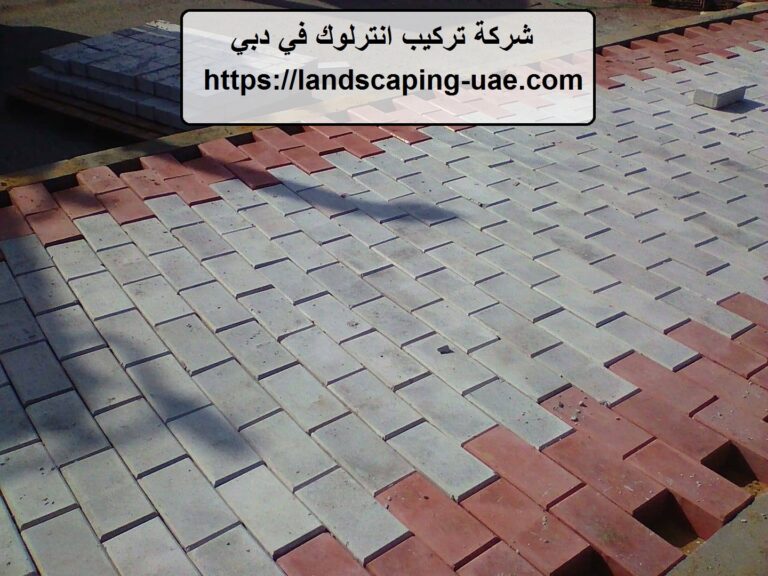 شركة تركيب انترلوك في دبي