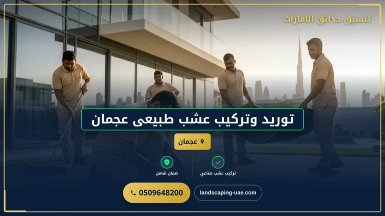توريد وتركيب عشب طبيعى عجمان