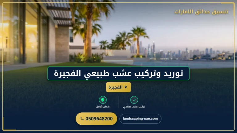توريد وتركيب عشب طبيعي الفجيرة