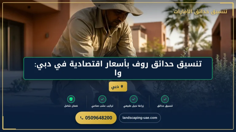 تنسيق حدائق روف بأسعار اقتصادية في دبي: واحتك الخضراء على السطح