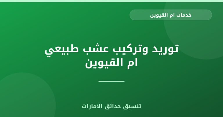 توريد وتركيب عشب طبيعي ام القيوين