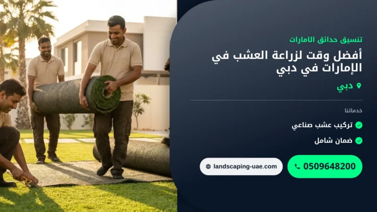 أفضل وقت لزراعة العشب في الإمارات في دبي